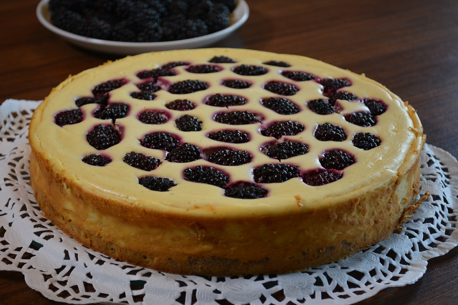 Der Kuchenbäcker „on TV“ – Brombeer Käsekuchen für die ZDF drehscheibe Der Kuchenbäcker „on TV“ – Brombeer Käsekuchen für die ZDF drehscheibe